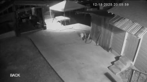 Caméra IP - États-Unis d'Amérique