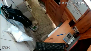 Caméra IP - Venezuela