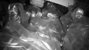 Caméra IP - Ucrania