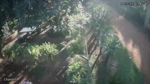 Caméra IP - Paraguay