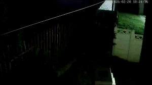 Caméra IP - South Africa