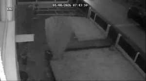 Caméra IP - Vereinigtes Königreich