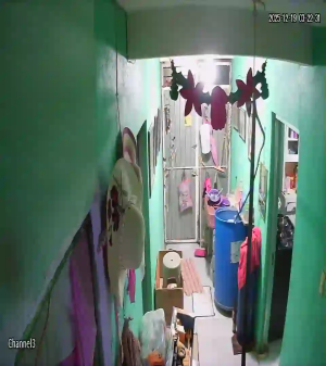 Caméra IP - México