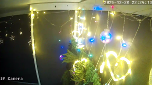 Caméra IP - Singapore