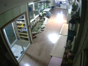 Caméra IP - South Korea