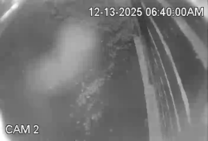 Caméra IP - United States of America