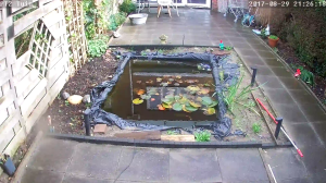 Caméra IP - États-Unis d'Amérique