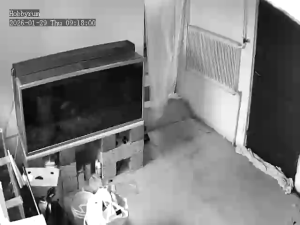 Caméra IP - Schweden