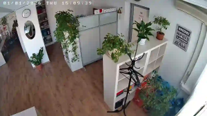 Caméra IP - Russian Federation