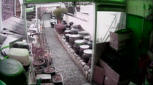 Caméra IP - Corée du Sud