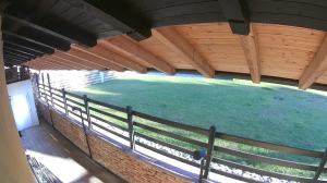 Caméra IP - Vue en direct