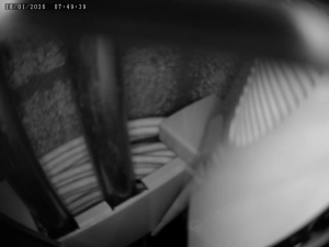 Caméra IP - Netherlands