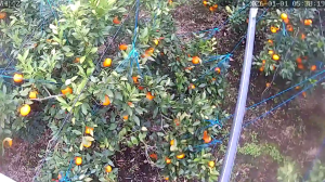 Caméra IP - Südkorea