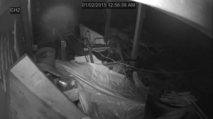 Caméra IP - Estados Unidos