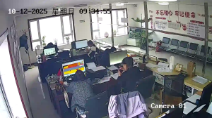 Caméra IP - China