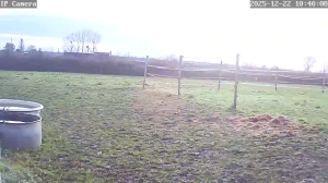 Caméra IP - Francia