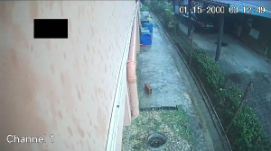 Caméra IP - Trinité-et-Tobago