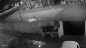 Caméra IP - Argentine