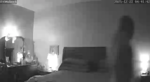 Caméra IP - Stati Uniti d'America