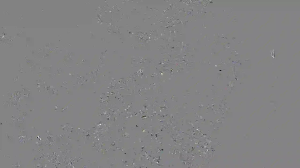 Caméra IP - Vietnam