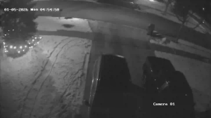 Caméra IP - Vereinigte Staaten von Amerika