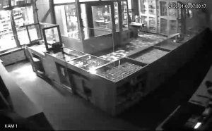 Caméra IP - Pologne