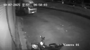 Caméra IP - China