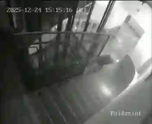 Caméra IP - Hungría