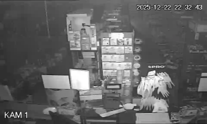 Caméra IP - Polonia