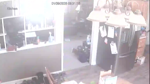 Caméra IP - États-Unis d'Amérique