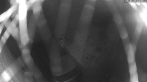 Caméra IP - Royaume-Uni