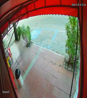 Caméra IP - Bolivien