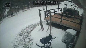 Caméra IP - Vereinigte Staaten von Amerika