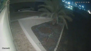 Caméra IP - Émirats Arabes Unis