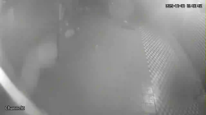 Caméra IP - Bolivia