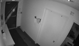 Caméra IP - United States of America