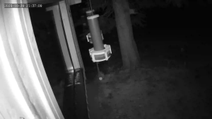 Caméra IP - Austria