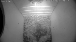 Caméra IP - Deutschland