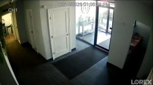 Caméra IP - United States of America