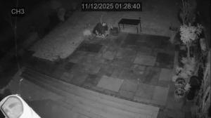 Caméra IP - Royaume-Uni