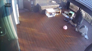 Caméra IP - Corea del Sud