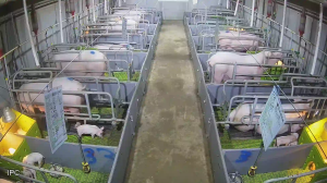 Caméra IP - República de Corea