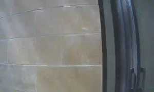 Caméra IP - Liban