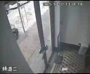 Caméra IP - Hongkong