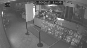 Caméra IP - United States of America