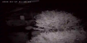 Caméra IP - Niederlande