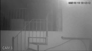 Caméra IP - Vue en direct