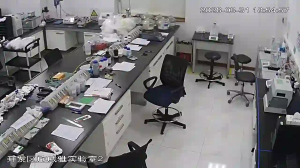 Caméra IP - People's Republic of China