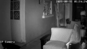 Caméra IP - Mexique