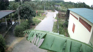 Caméra IP - Vietnam